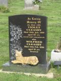 image of grave number 748861